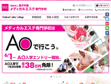 Tablet Screenshot of mec.ac.jp
